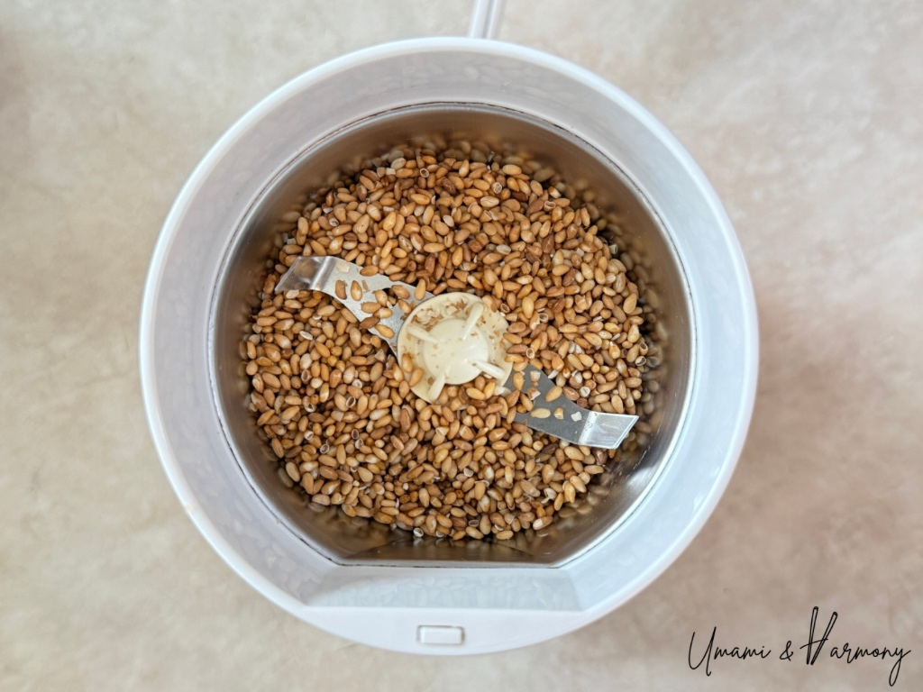 Whole sesame seeds in a food grinder before grinding