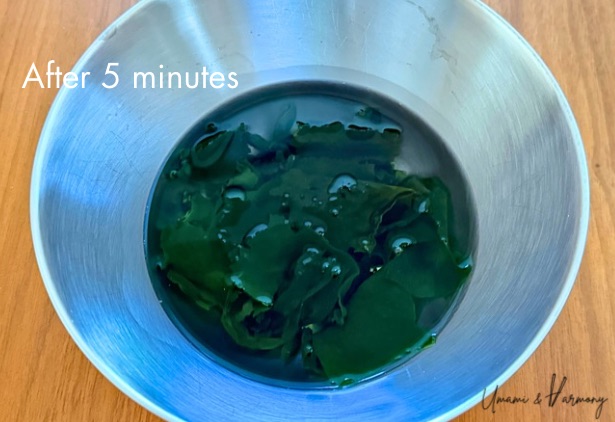 Rehydrated wakame expanded and softened in a bowl of water