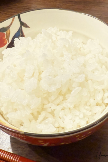 Bowl of white rice