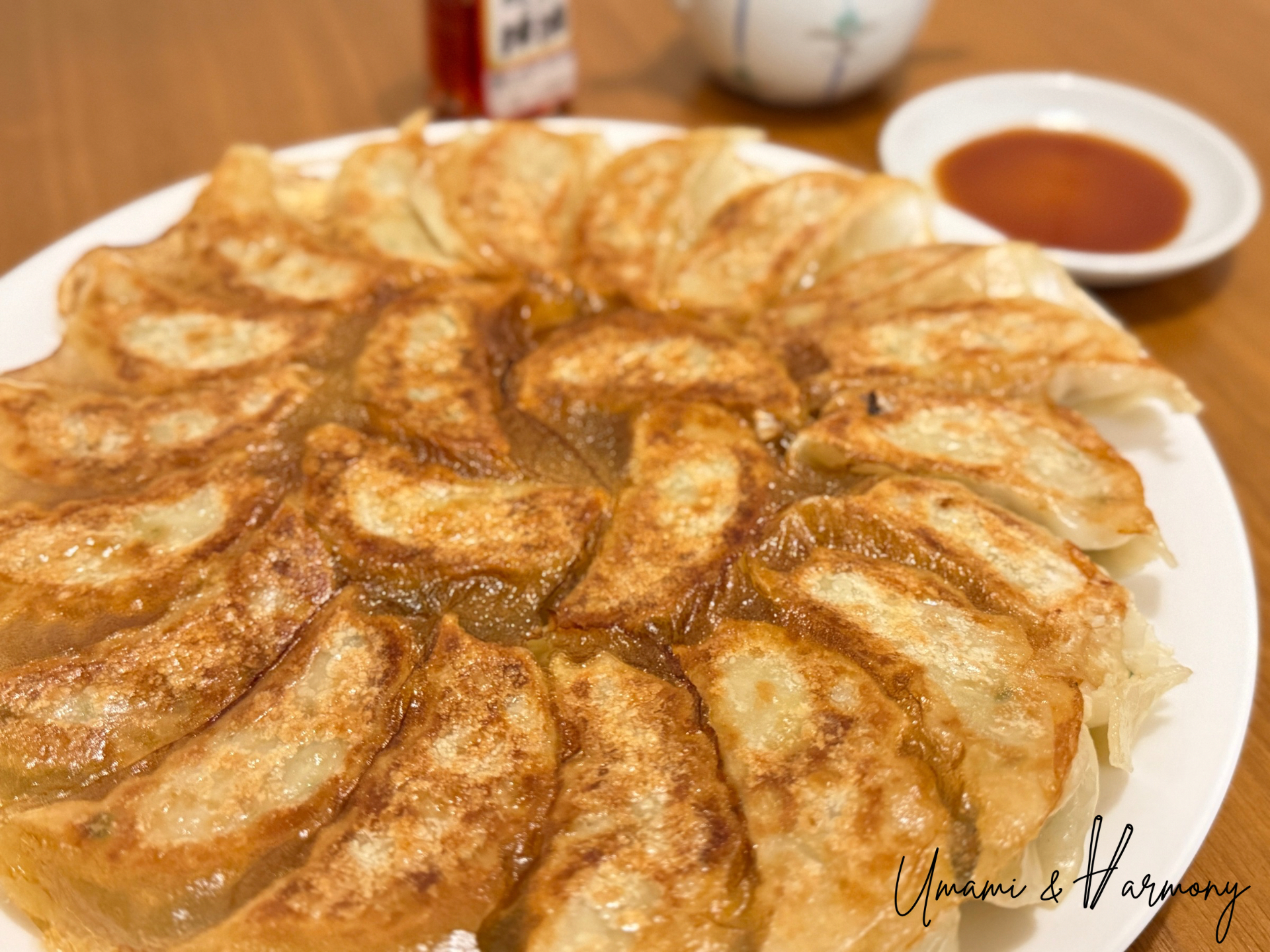 Pan-fried gyoza served on a plate with dipping sauce