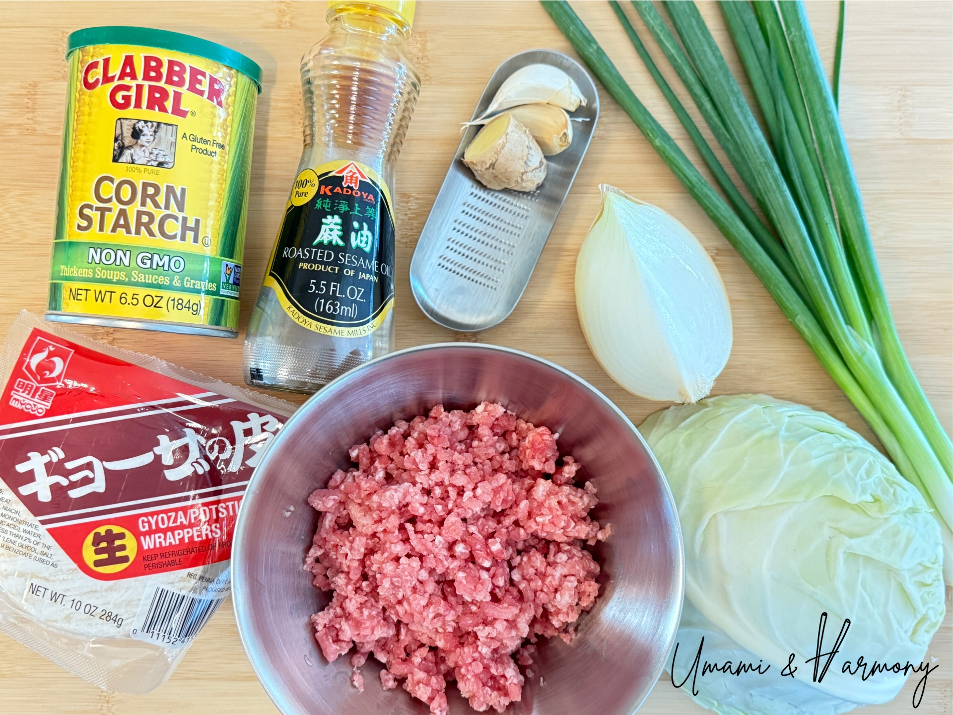 Ingredients for homemade gyoza including cabbage, ground pork, onion, green onions, garlic, ginger, roasted sesame oil and corn starch
