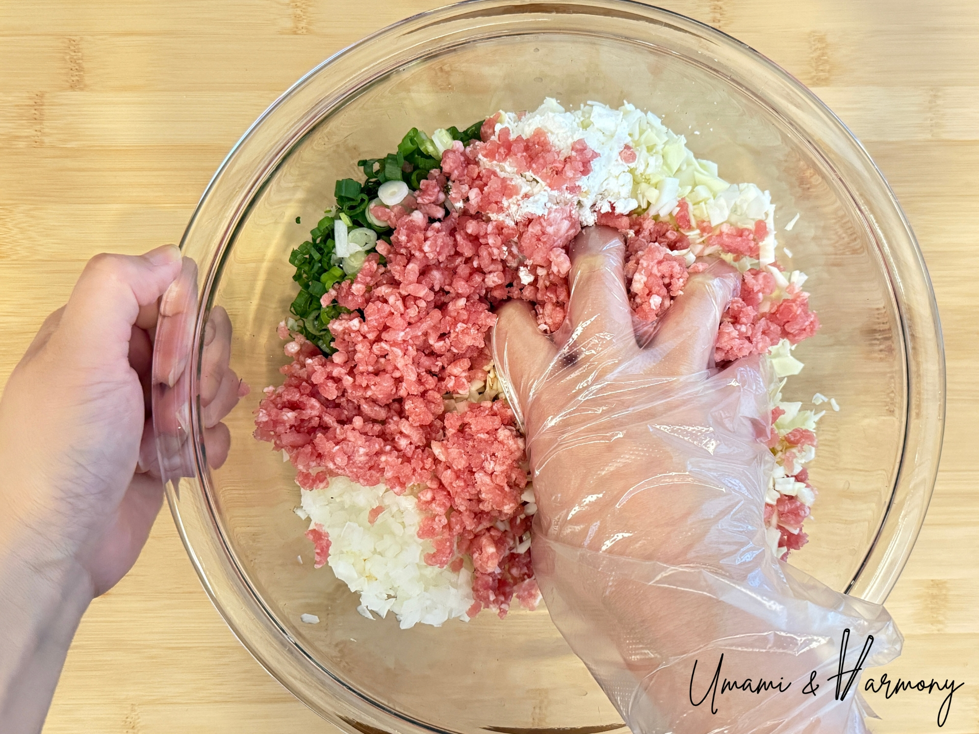 Mixing gyoza filling ingredients by hand in a large bowl