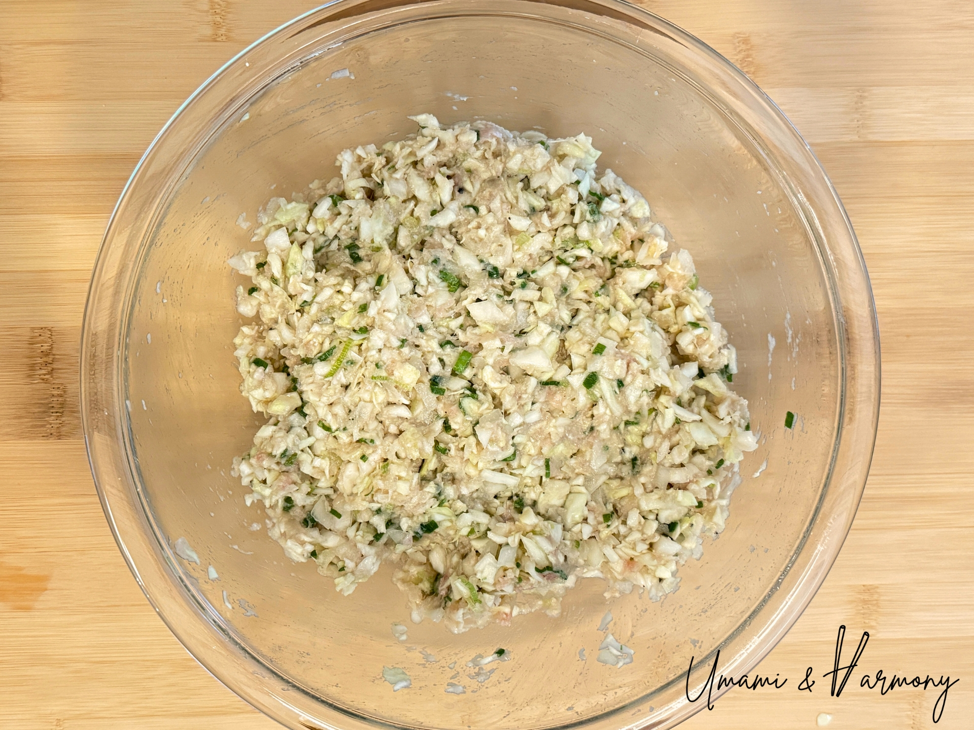 Well-blended gyoza filling ready to use