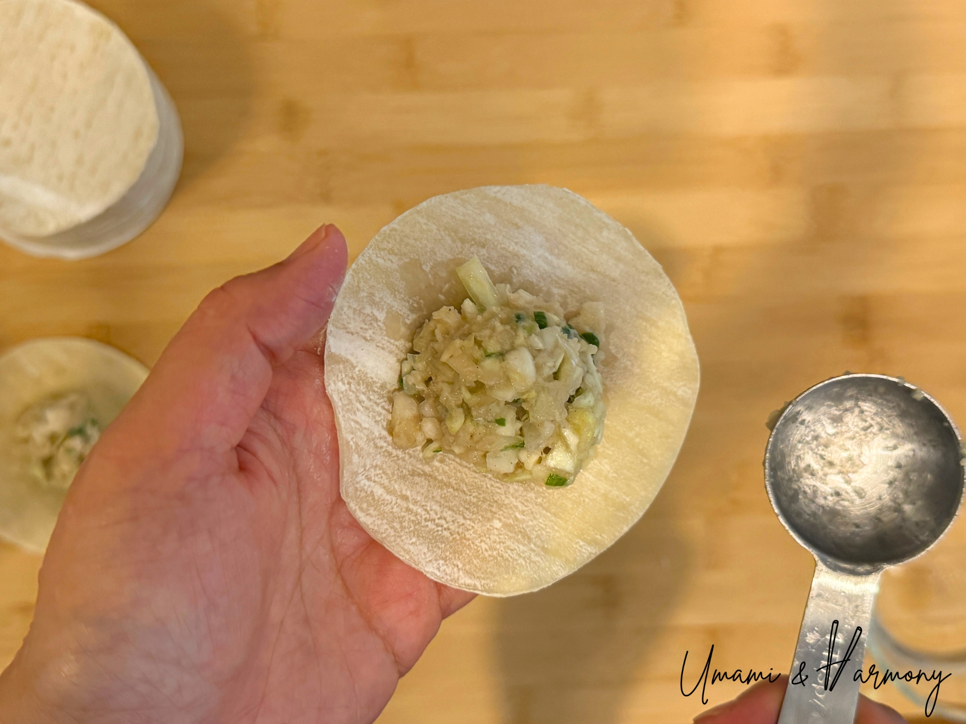 Placing pork filling onto a gyoza wrapper