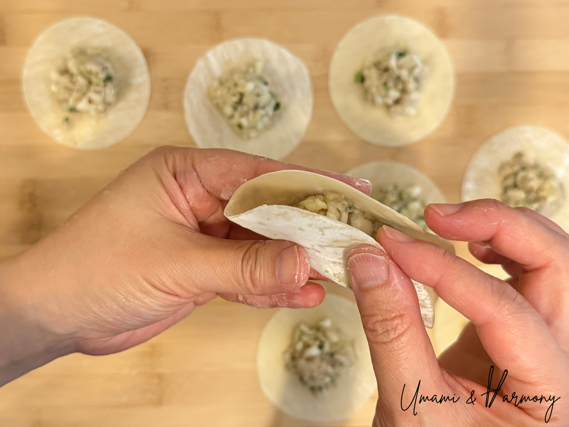 Folding gyoza wrapper in half around the filling
