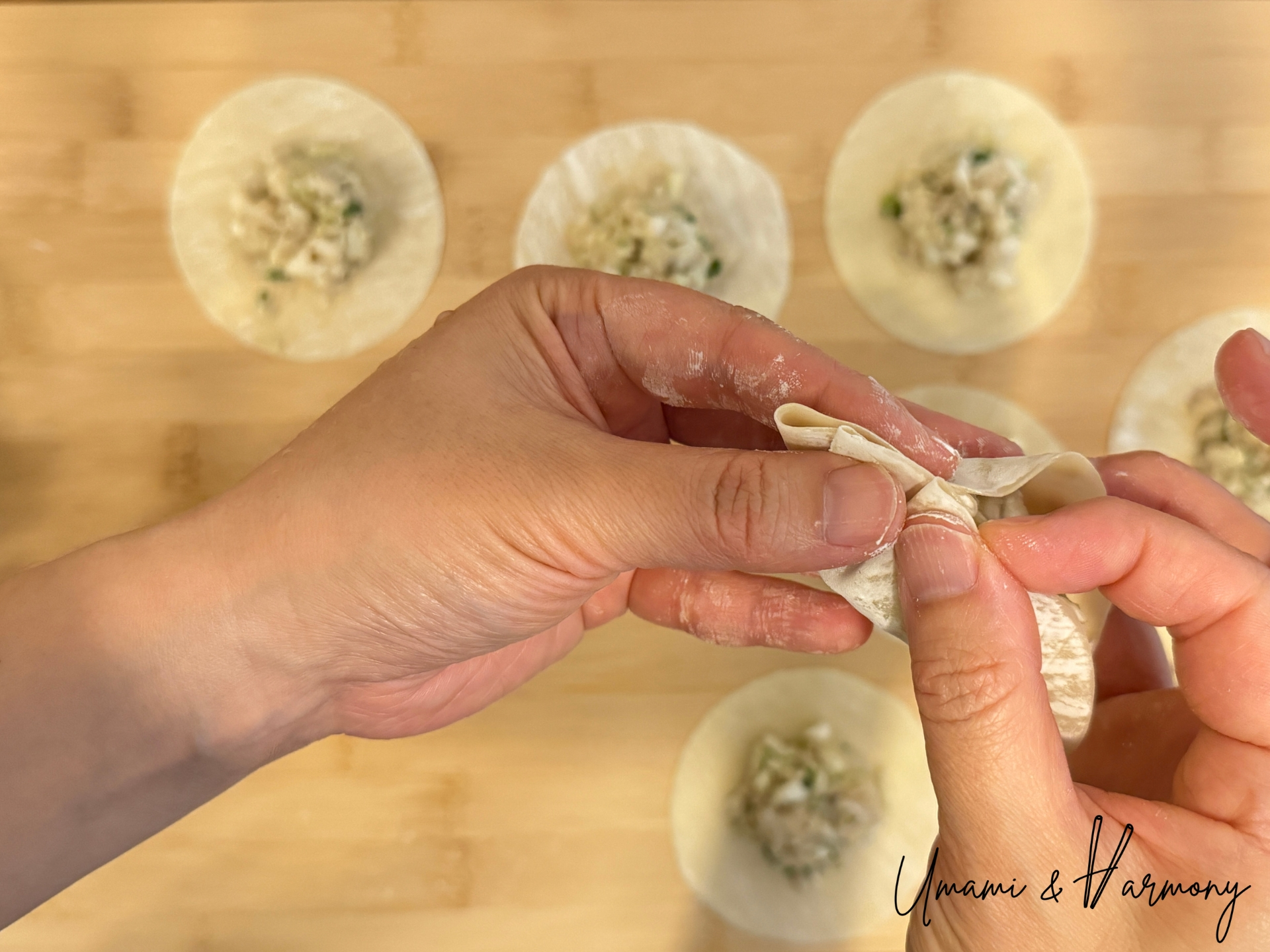 Making the second pleat to seal gyoza