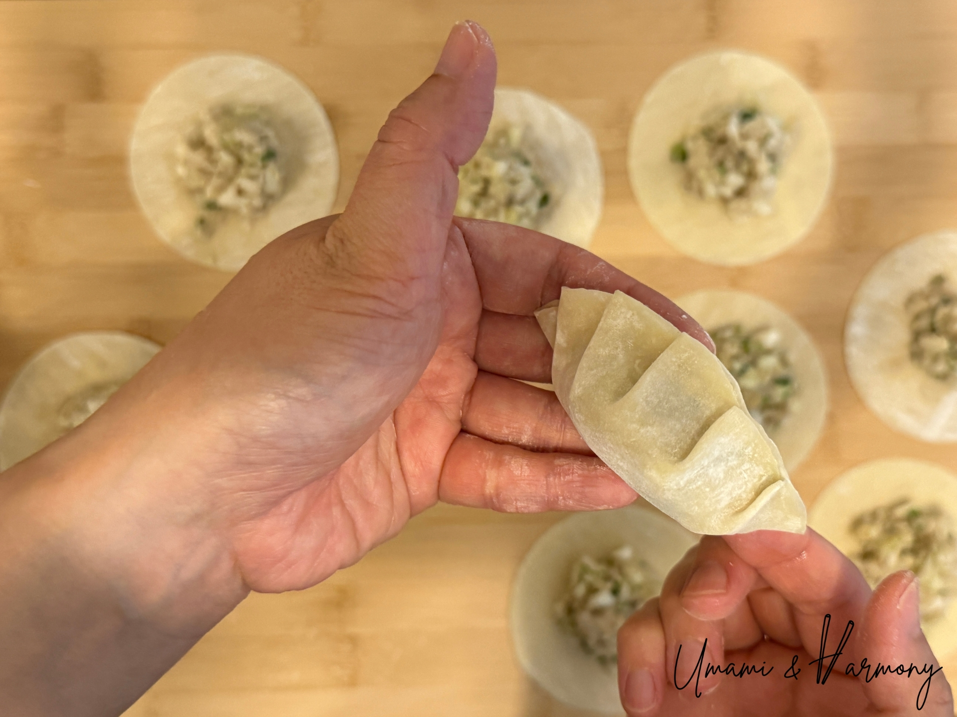 Finished gyoza folded with four pleats