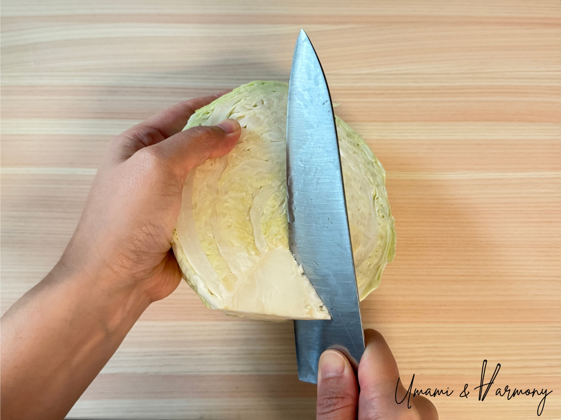 Removing the core from cabbage for gyoza filling