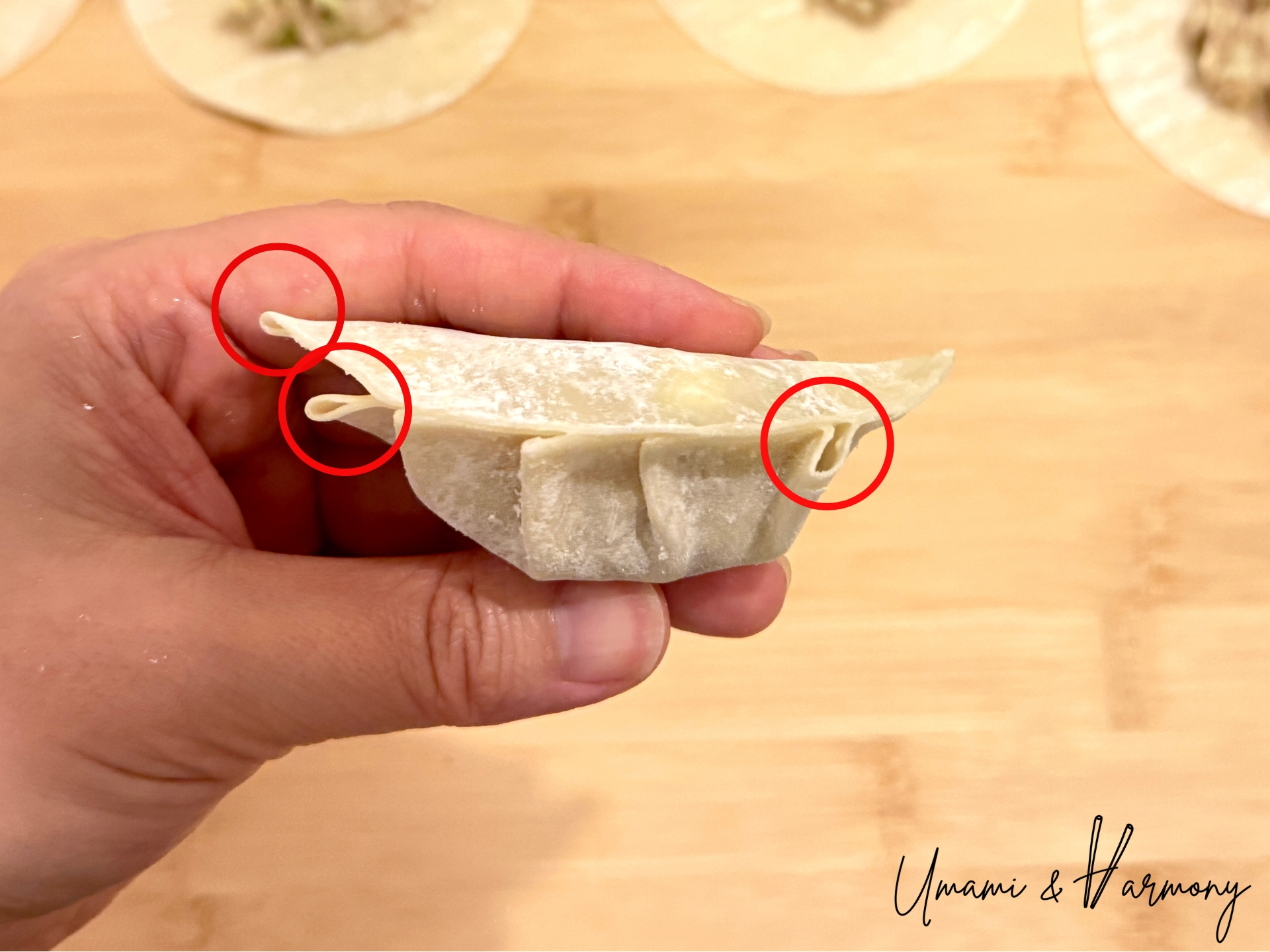 Gyoza with unsealed pleats before final folding