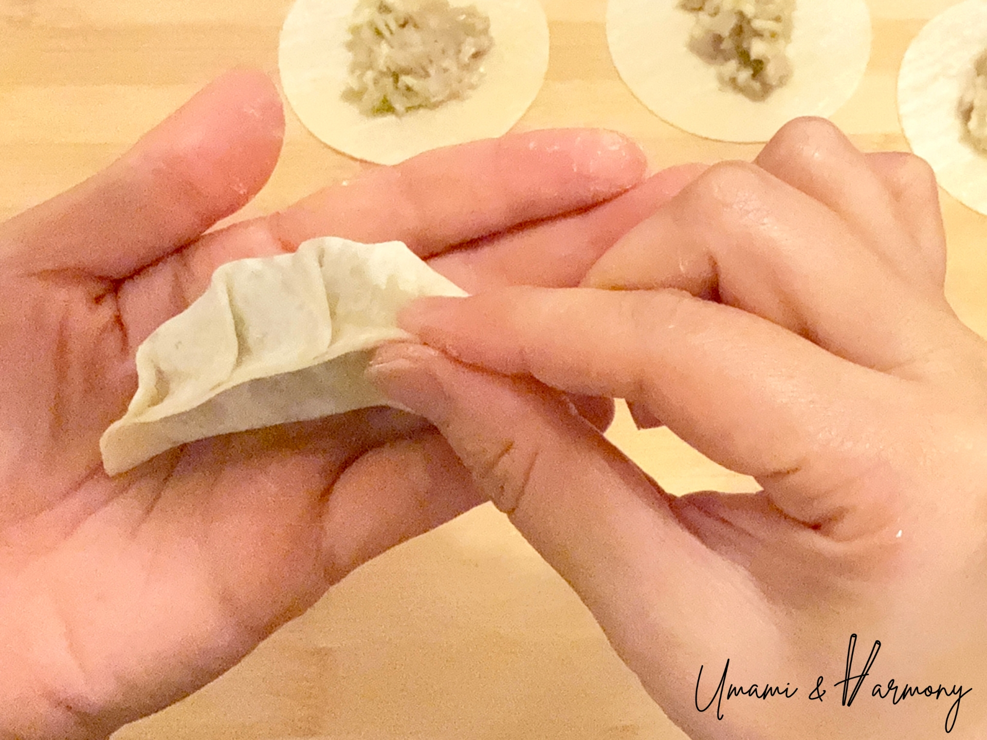 Pinching pleats to seal gyoza completely