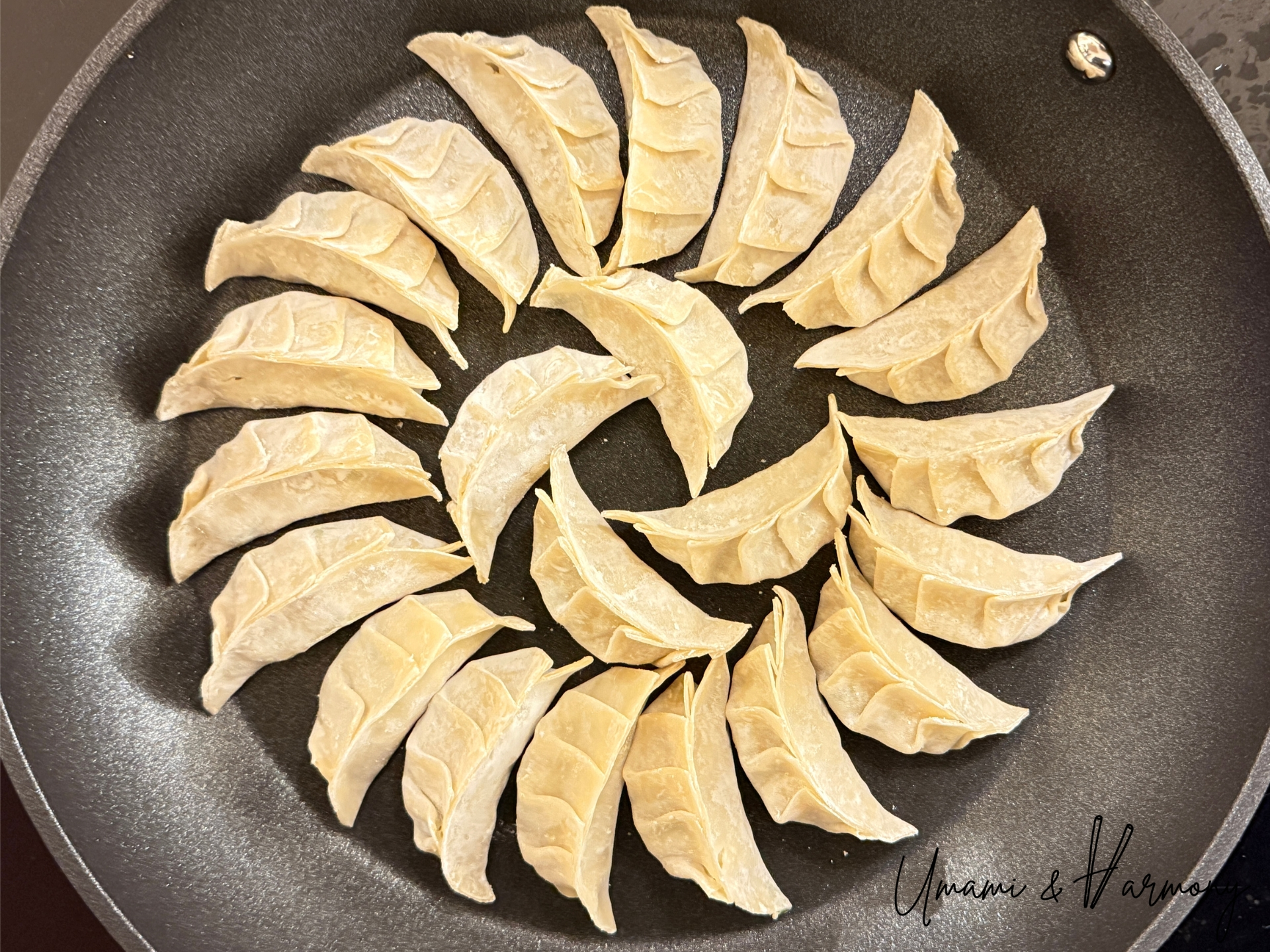 gyozas arranged in a skillet in a circle