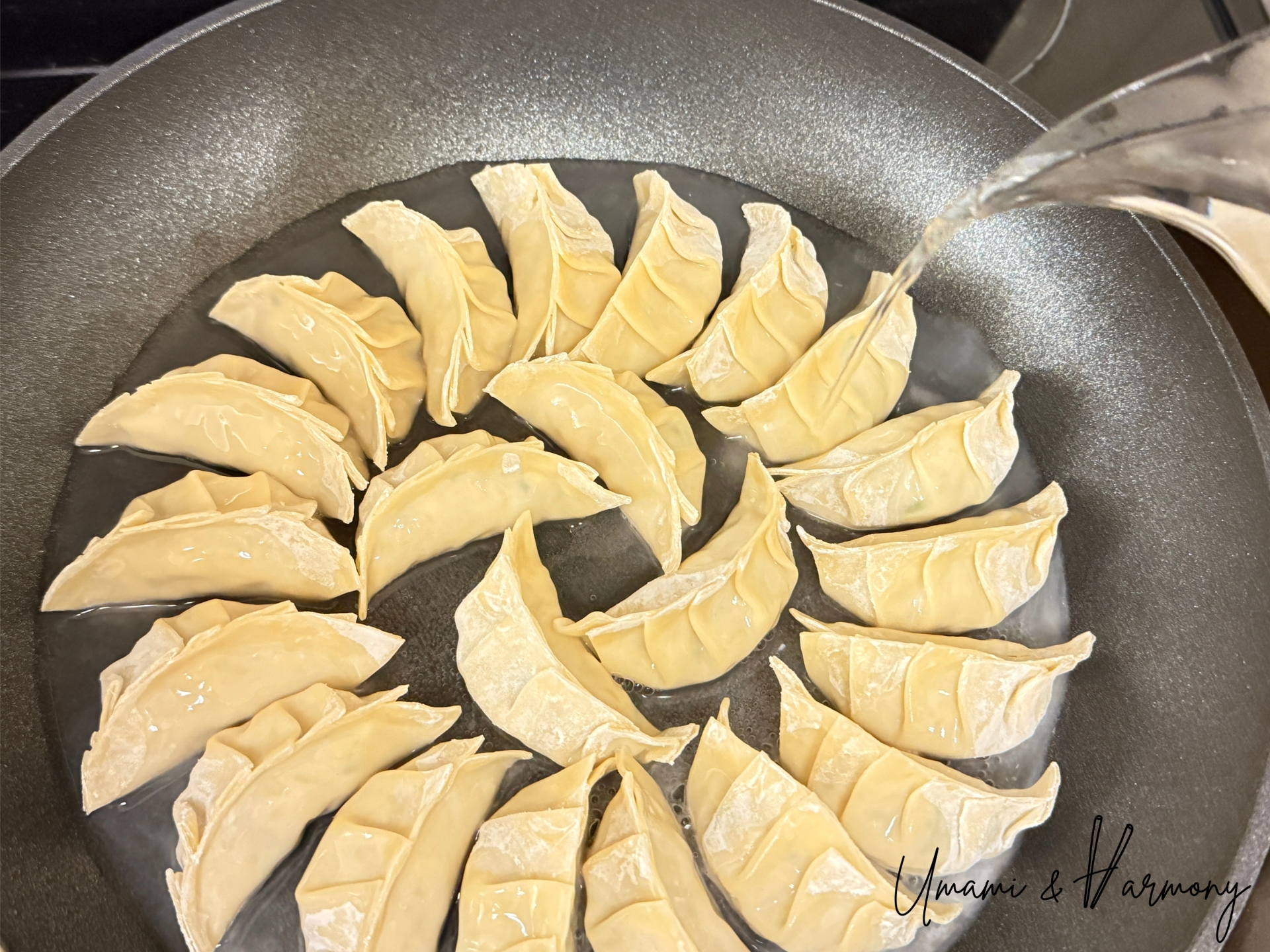 Pouring water into the skillet to steam gyoza