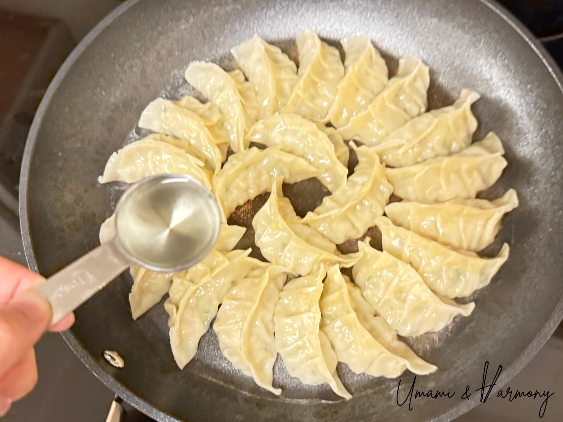 Drizzling oil into the skillet after steaming gyoza
