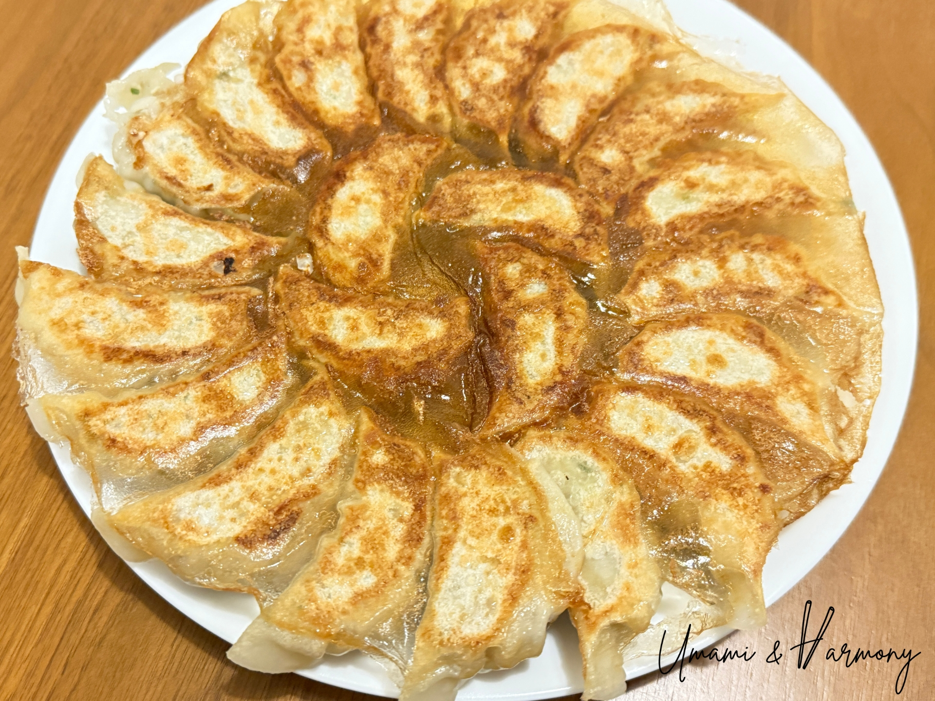 Crispy pan-fried gyoza showing golden brown bottoms