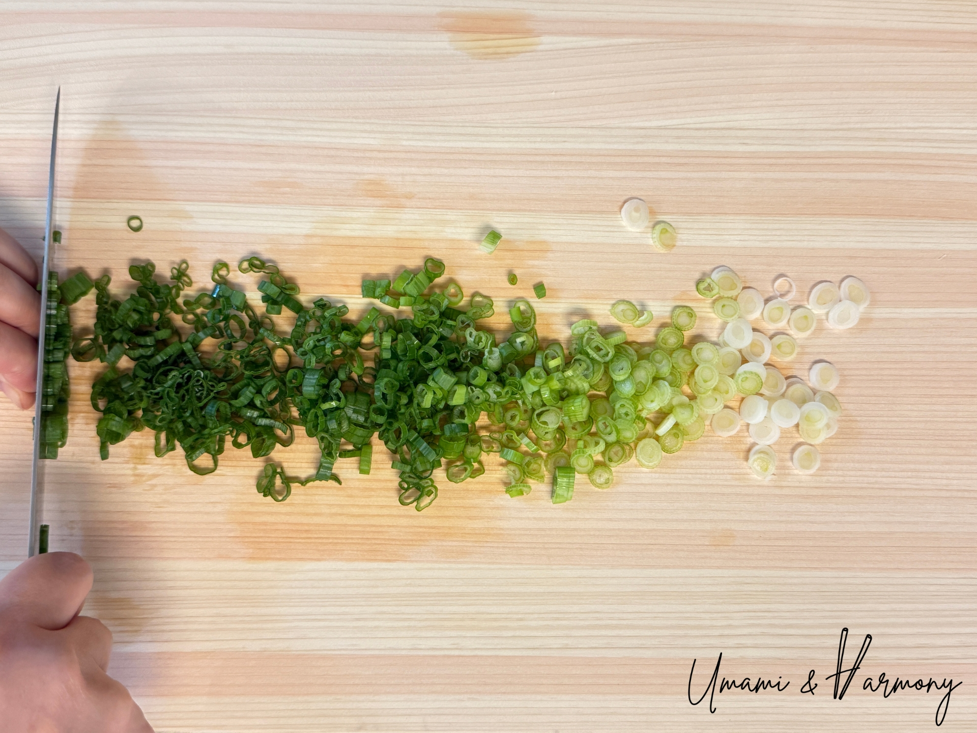 Chopping green onions for gyoza filling