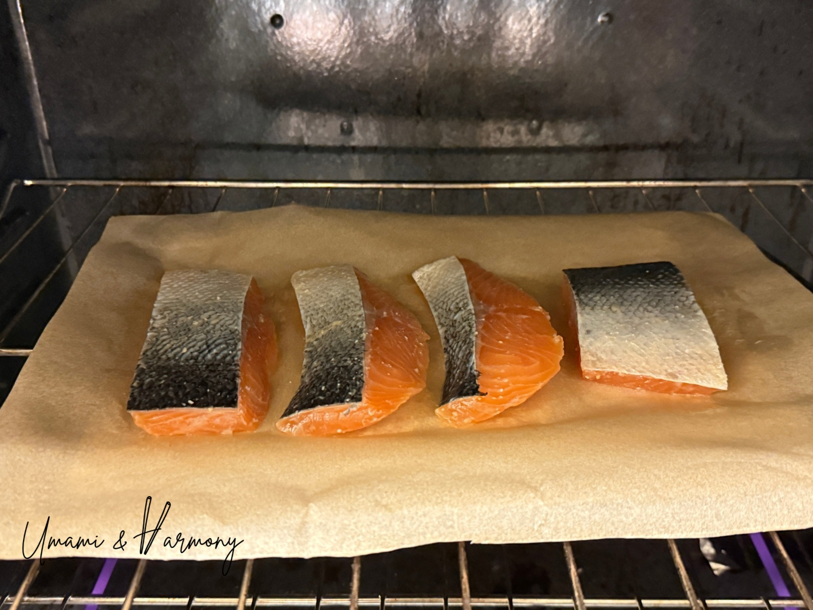 Salmon fillets placed on oven pan and ready to bake in oven