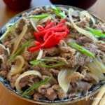 Gyudon (Japanese Beef and Rice Bowl)