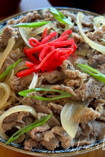 Gyudon (Japanese Beef and Rice Bowl)