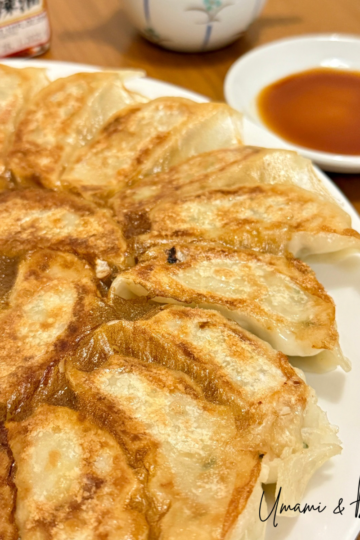 Gyoza