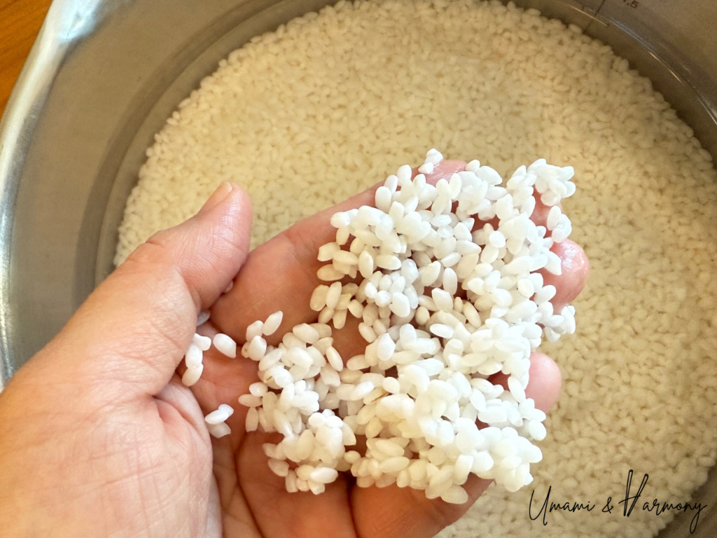 Rice that has absorbed water showing opaque white color in a hand