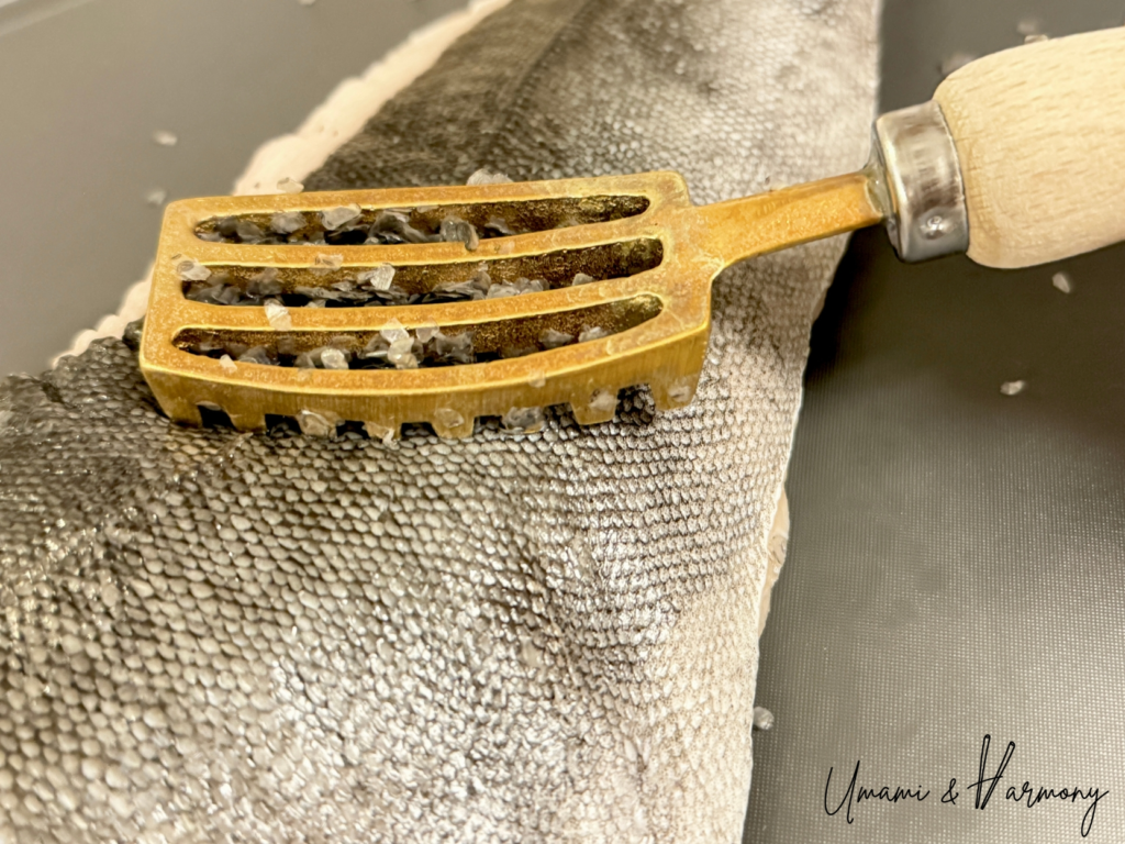 Removing scales from black cod with a fish scaler, close-up showing scales coming off the skin