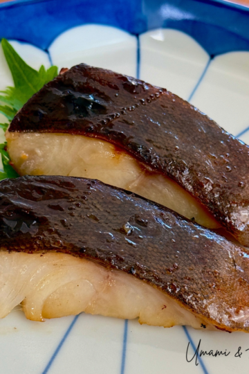 Miso-marinated black cod
