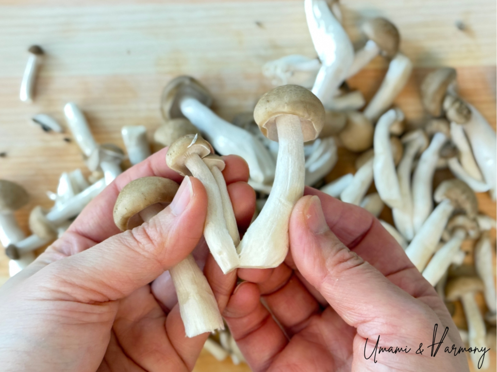 Shimeji mushrooms separated by hand