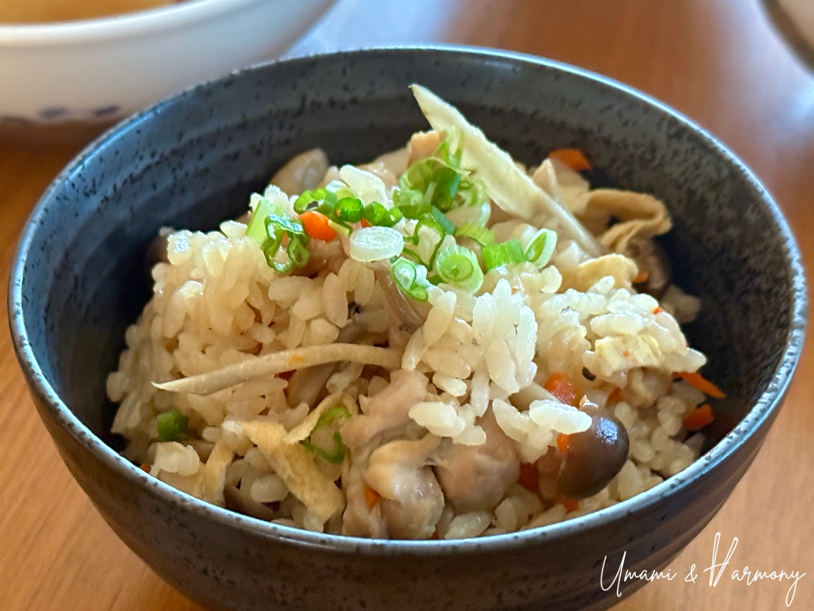 Gomoku takikomi gohan served in a bowl topped with chopped green onions