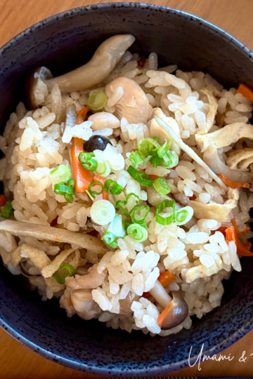 Gomoku Takikomi Gohan