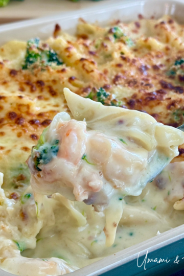 Shrimp Macaroni Gratin