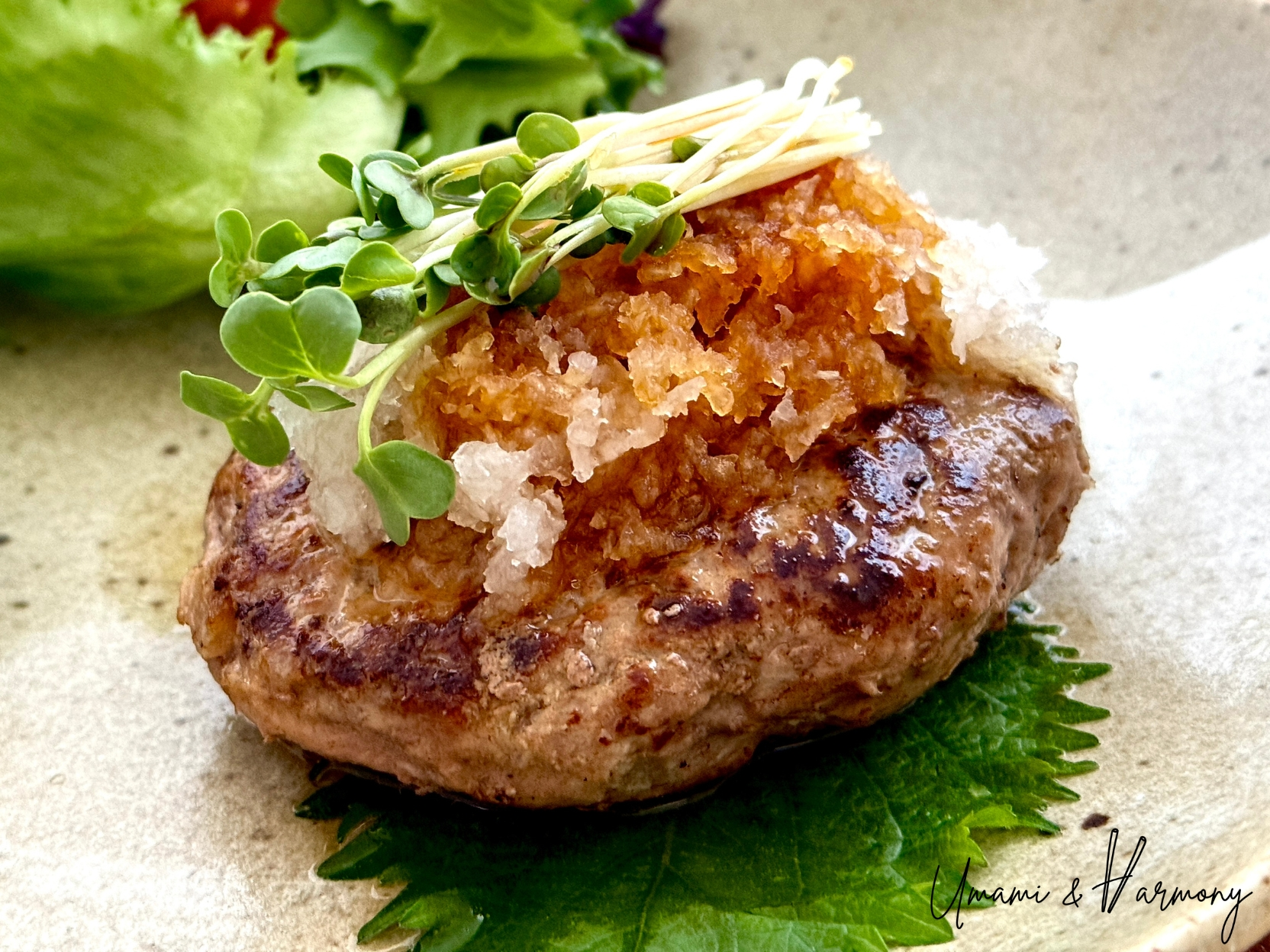 Japanese hamburg steak with daikon oroshi topped with radish sprouts and ponzu sauce