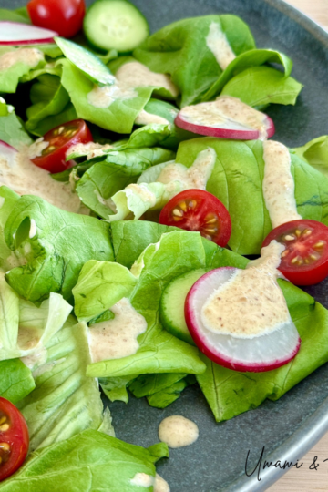 Japanese Style Creamy Sesame Dressing